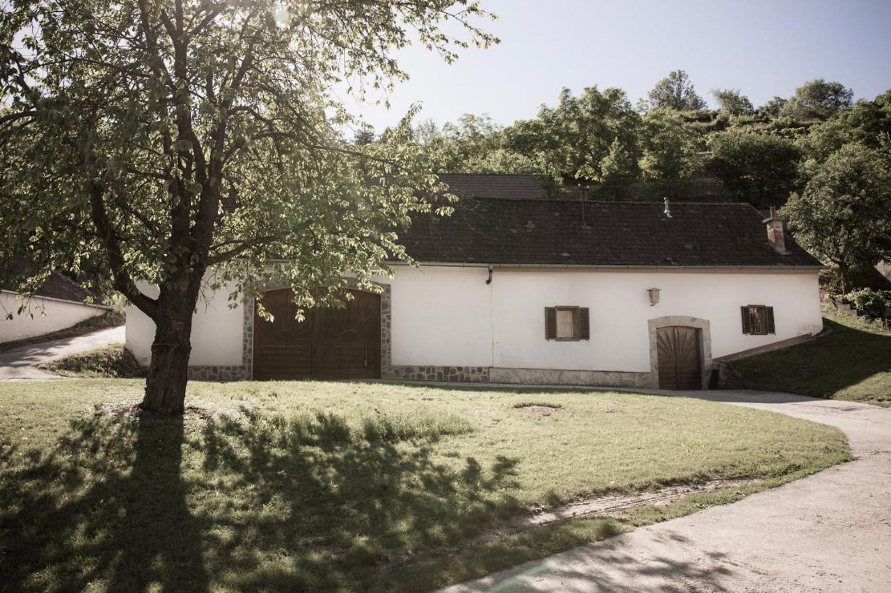 Strass  Ferienwohnung Am Weingut Eisenbock מראה חיצוני תמונה