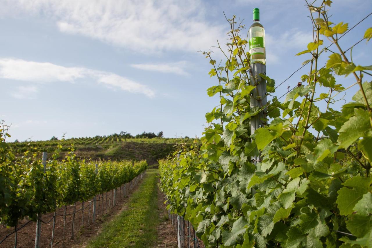 Strass  Ferienwohnung Am Weingut Eisenbock מראה חיצוני תמונה