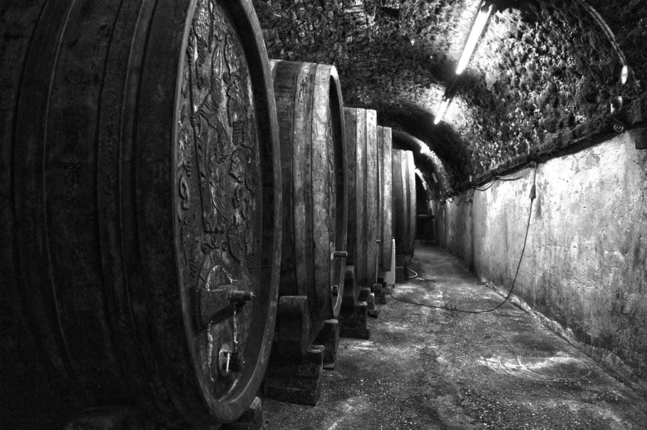 Strass  Ferienwohnung Am Weingut Eisenbock מראה חיצוני תמונה