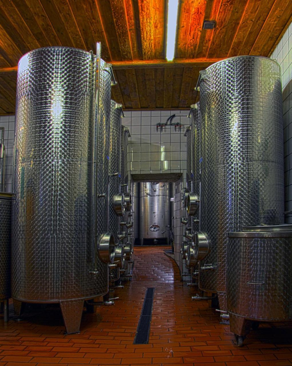 Strass  Ferienwohnung Am Weingut Eisenbock מראה חיצוני תמונה
